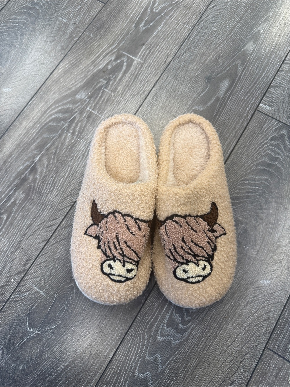 Cozy Beige Highland Cow Slip-On Slippers